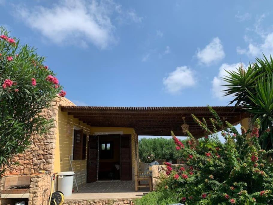 Villa Maveda, Un Dammuso Immerso Nel Verde Lampedusa Exterior foto